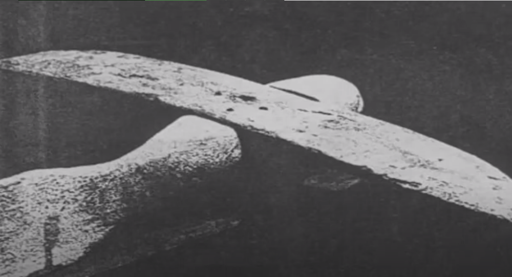 V egyptské hrobce byl nalezen model letadla. Opět se potvrzuje, že starověká civilizace byla o několik kroků napřed