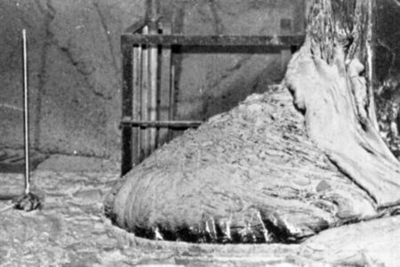 Pravda o Černobylské sloní noze. Útvaru, který je skrytý pod reaktorem a spolehlivě zabije kohokoli, kdo se k němu přiblíží