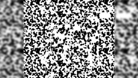 Obrázek černých a bílých flíčků mate celý internet. Ti nejlepší na něm bez bližšího zkoumání vidí zvíře