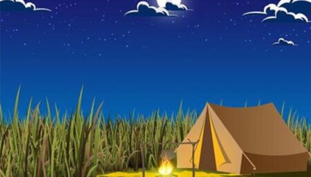 Kdo má skrytý intelekt, najde na obrázku klobouk na první pohled. Většina se ale musela zbaběle podívat na řešení