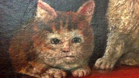 Válka proti kočkám, kterou vyvolal papež Řehoř IX., podpořila morové epidemie devastující Evropu