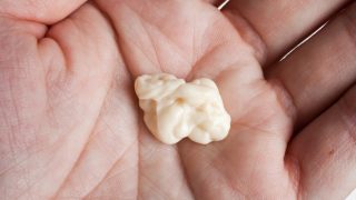 Opravdu se do žvýkaček dávají části zvířat? Takhle se vyrábí krok za krokem + tip, jak je využít při vaření