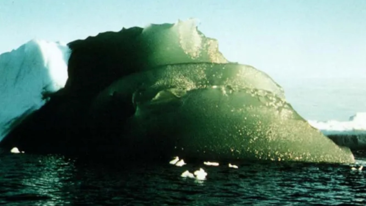 Proč led v Antarktidě zelená: Anomální jev, který dostatečně vypovídá o stavu životního prostředí světa