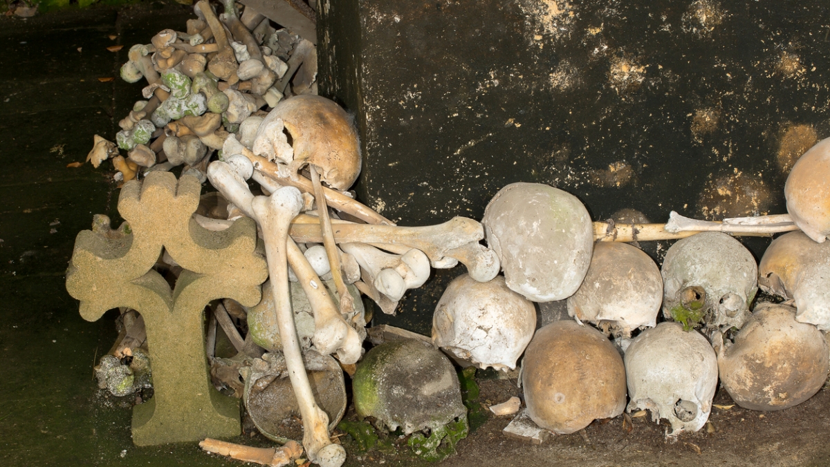 Průzkumník objevil rozsáhlé pohřebiště s lidskými pozůstatky. Nejděsivější na tom ale je, že velikostí odpovídají obrům