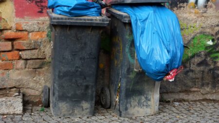 Vizuální hádanka ze života: U popelnice se schovala kočka. Splývá tak dokonale, že ji 90 % lidí nedokáže najít ani po 5 minutách