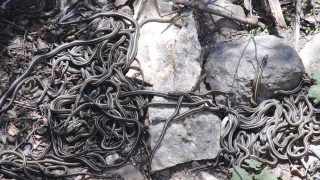 Nejděsivější místo na planetě: Přístup sem má jen pár lidí, běžný člověk by téměř s jistotou zemřel