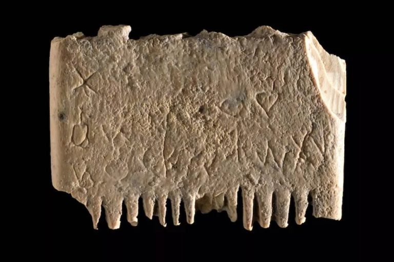 Hřeben na vši z Izraele