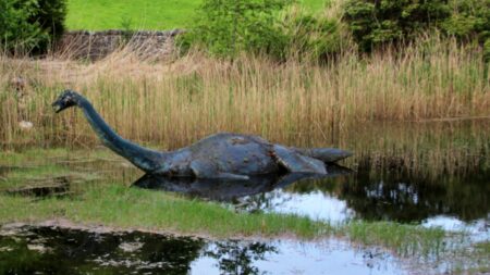 Sonar zachytil záhadné 6 metrů dlouhé stvoření. Vypadá to na obrovský průlom v pátrání po Lochnesce