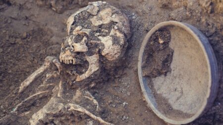 Dvě mimozemské lebky objevené v Rusku, tajná nacistická instituce a honička za nadpozemskými zbraněmi