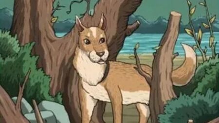 Primitivní hádanka, která lidem zamotala hlavu: Na obrázku se schovává kočka, ale většina není schopná ji najít