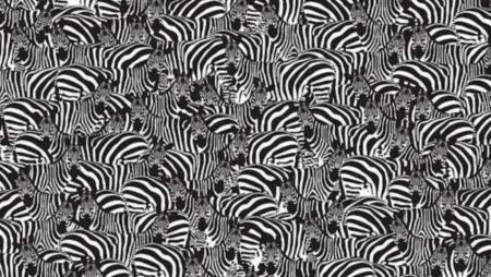 Mezi zebrami je ukryté piano. Pro ty, jenž mají silně vyvinutý cit pro detail, nebude problém ho najít do 10 sekund