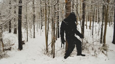 Nevysvětlitelné jevy, ze kterých naskakuje husí kůže: Záhadná zmizení, duchové, chlupaté monstrum, ale i fungování intuice