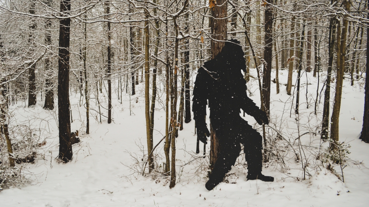 Nevysvětlitelné jevy, ze kterých naskakuje husí kůže: Záhadná zmizení, duchové, chlupaté monstrum, ale i fungování intuice