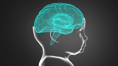 Proč nemáme žádné vzpomínky na věci, které se staly do 3 let našeho života