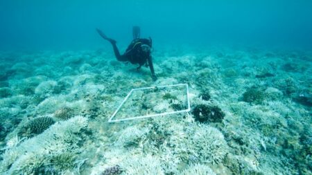 Překvapivý nález na arktickém větracím místě by nás mohl spojit s mimozemšťany. „Stále nevycházíme z údivu,“ říkají vědci