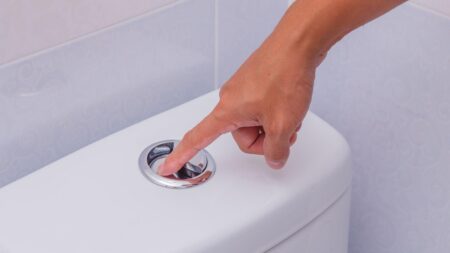 Je mezi velkým a malým tlačítkem na splachování toalety skutečně rozdíl? Většině lidí se to plete