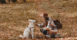 Jak si získat důvěru čtyřnožce a vybudovat pevný vztah na celý život?