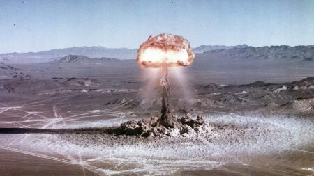 Projekt Modrý páv: Britové dovnitř nášlapných min „ubytovali“ slepice s potravou na 8 dní. Chtěli se tak připravit na sovětský útok