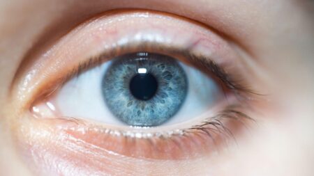 Vědci zjišťovali, jakou barvu očí muži považují za nejatraktivnější u žen a naopak. První 3 příčky obsadily hnědé, modré a zelené