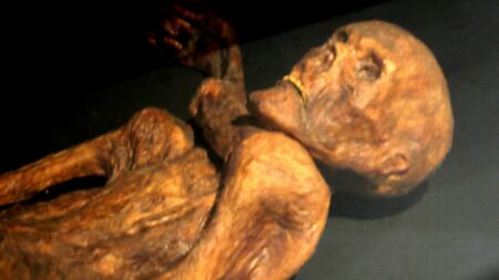 Ötzi, nejstarší zachovalá mumie: Dožil se 40 let, vědci zjistili i to, že měl intoleranci na laktózu