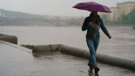 Když se počasí zblázní: Z nebe pršely ryby i žáby, nejpravděpodobnějším vysvětlením je tornádo