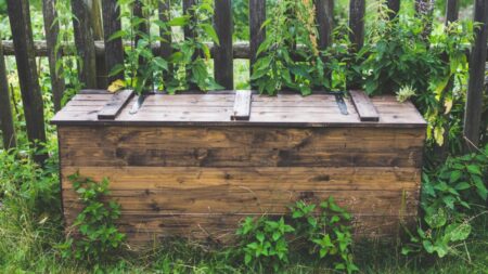 Dívka z krabice: Vlastní matka ji 12 let věznila ve stísněném prostoru. Chtěla ji chránit před okolním světem