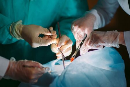 Záhada transplantace orgánů a vyvolaných vzpomínek: Po operaci lidé získávají některé nové rysy i závislosti dárce