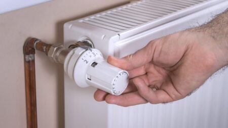 Vrátíte se do chladného bytu a zapnete radiátor na 5? To je chyba. Je lepší pustit ho na střední stupeň a vyčkat