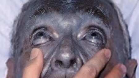 Avatar není jen koncept Jamese Camerona. Modří lidé kdysi skutečně existovali a mohlo za to křížení v rodině