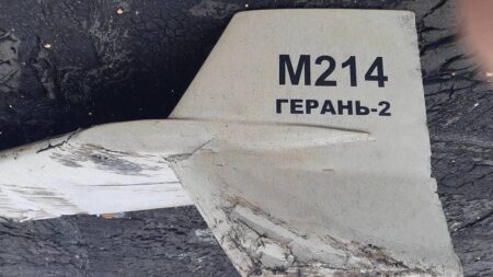 Ukrajinci se naučili bojovat se sebevražednými drony. Během několika hodin jich sestřelili 24