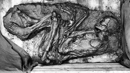 Vše o Tollundském muži, 2 400 let starém bažinatém těle. Byl tak dokonale zachován, že byl považován za nedávnou oběť