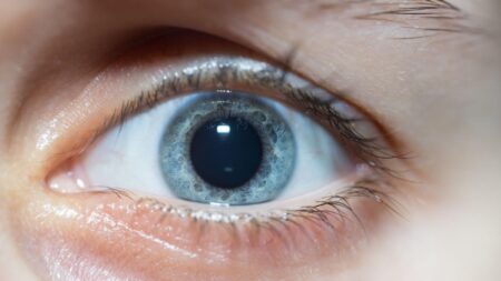 Téměř všichni najdou 2 rozdíly, ale ten třetí našlo jen 0,5 % lidí. Pokud si myslíte, že jste lepší, zkuste to stihnout za méně než 60 sekund