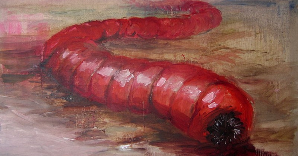 Nepolapitelná legenda a záhada obývající poušť Gobi: Metrový had prý zabíjí pouhým dotykem