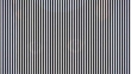 Otestujte svůj intelekt. Jen opravdový génius najde skrytou kočku na čárovém kódu do 5 vteřin