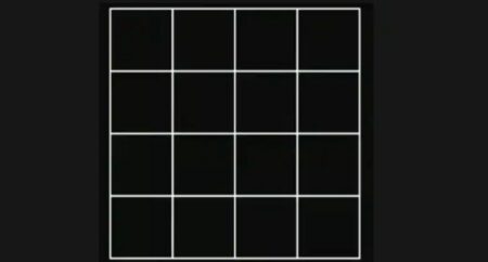 Přesný počet čtverců spočítá i dítě ve školce. Dospělí s tím ale mají problém, uspěje jen 8%. Troufnete si?