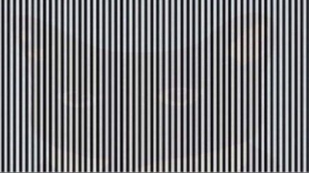 Jen opravdu vnímavý člověk prohlédne tuto optickou iluzi a určí, jaké zvíře se mezi pruhy ukrývá