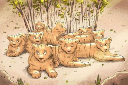 Oční test: Kdo mezi tygry nenajde jaguára, měl by si pořídit brýle. Myslíte si, že to dokážete?