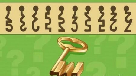 To, ke které klíčové dírce patří tento klíč, zvládne rozluštit pouze 5 % populace. Pokud uspějete, gratulujeme