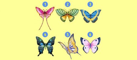 Přesný test osobnosti: Výběr 1 motýla prozradí, jaké jsou vaše nejlepší i nejhorší vlastnosti