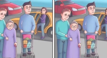 Jen člověk se smyslem pro detail dokáže na tomto obrázku najít rozdíl. Za 10 sekund to nezvládl skoro nikdo