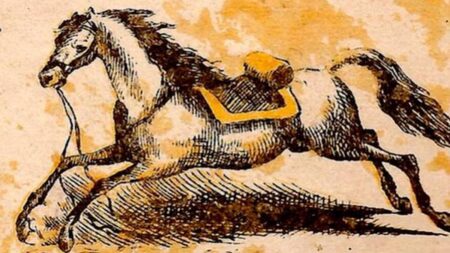 Test geniality: Najít starce na obrázku dokáží jen lidé s IQ 115. Jste dostatečně inteligentní na to, abyste ho našli?