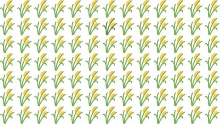 Zkouška vašich smyslů: Dokážete na obrázku najít odlišný prvek za 10 vteřin?