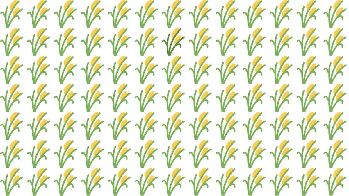 Zkouška vašich smyslů: Dokážete na obrázku najít odlišný prvek za 10 vteřin?