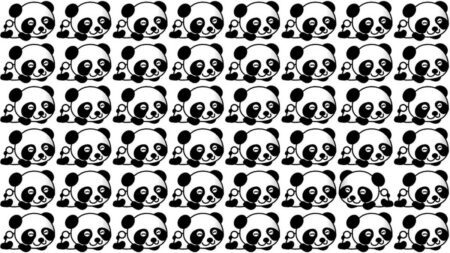 Zábavný test bystrosti: Najdete v chumlu pandích hlaviček jednu, která se na obrázek rozhodně nehodí?