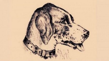 Obtížná vizuální hádanka trápí lidi již celá staletí. Za tu dobu ji zvládlo vyřešit jen 5 % lidí. Zvládnete to?