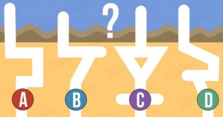 Obrázkový hlavolam: Určete, kterým potrubím poteče voda nejrychleji. A zjistíte, co o vás tato volba vypovídá