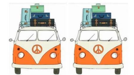 Virální výzvu dokáže vyřešit jen 1 člověk z 10: Dokážete na obrázku najít 3 rozdíly do 10 sekund?