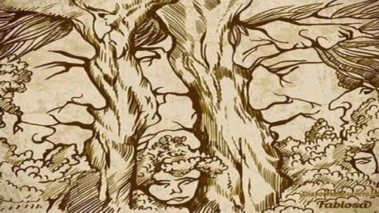 tváře lidí stromy nos