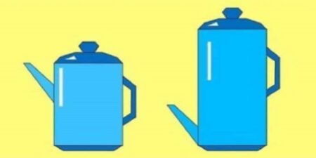 Která z přítomných konviček pojme více čaje? Na logickou otázku odpoví správně jen chytrý člověk