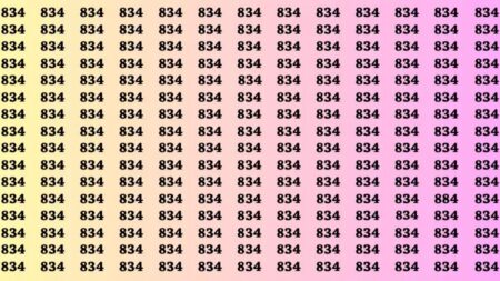 Jen lidé se zdravým zrakem dokáží vyřešit tuto optickou hádanku za 15 sekund. Dokážete najít odlišné číslo od ostatních v číselné řadě?